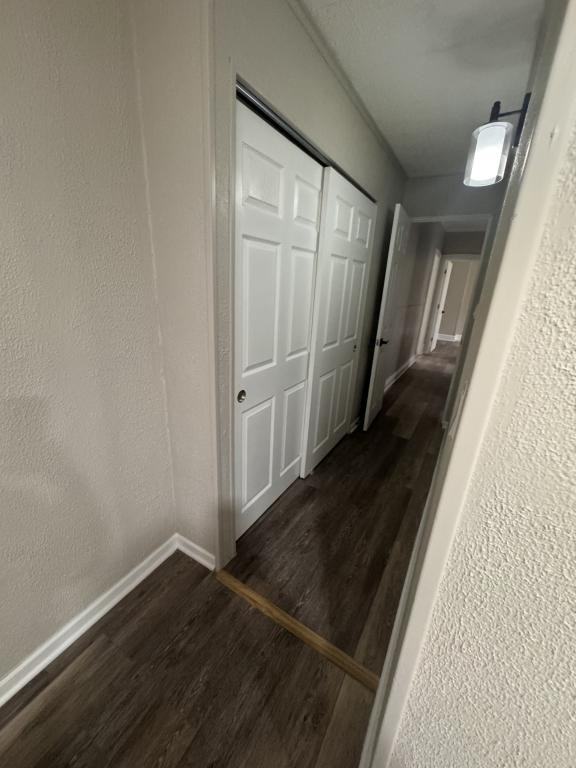 6 Webb St - Photo 7 of 9