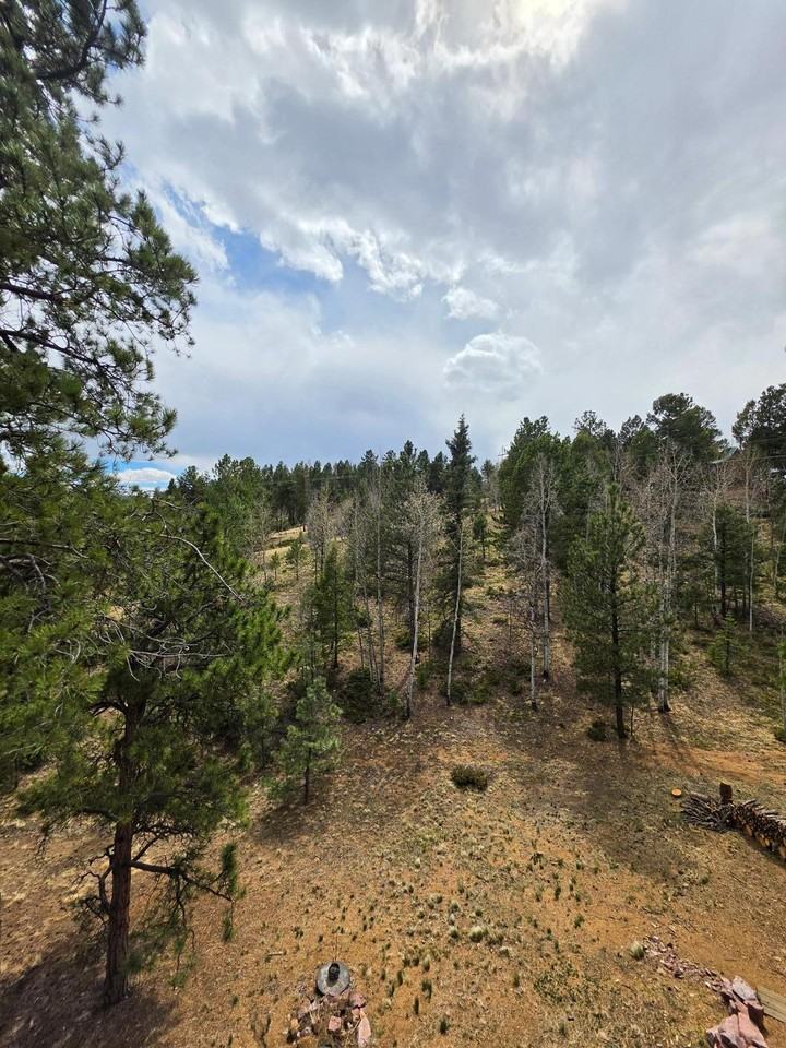 493 Lost Lake Dr - Photo 2 of 25