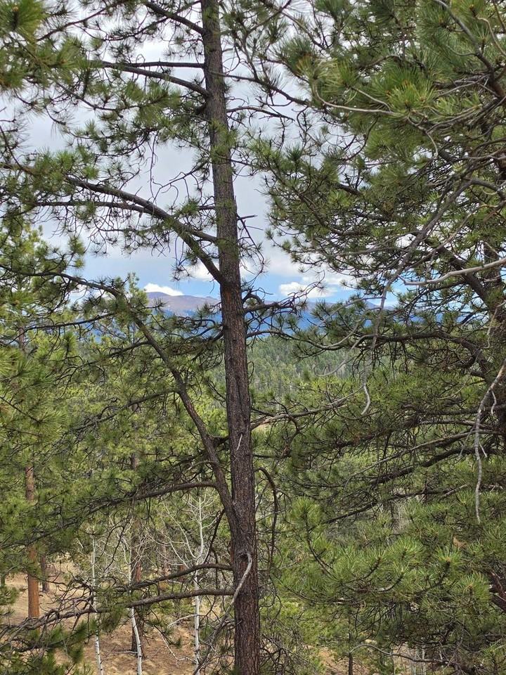 493 Lost Lake Dr - Photo 3 of 25