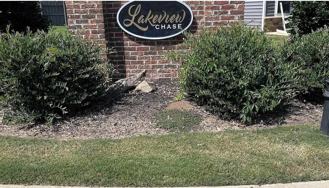 132 Addington Lane - Photo 1 of 1