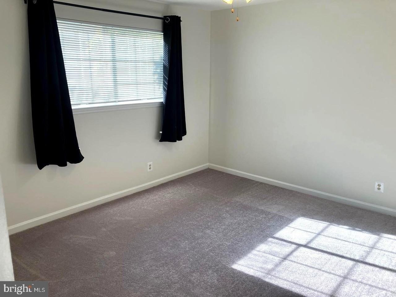 10713 Hampton Mill Ter - Photo 6 of 8