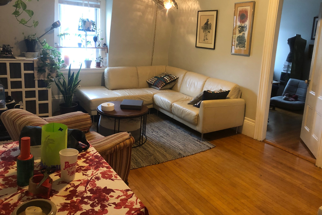 16 Austin St - Photo 2 of 10