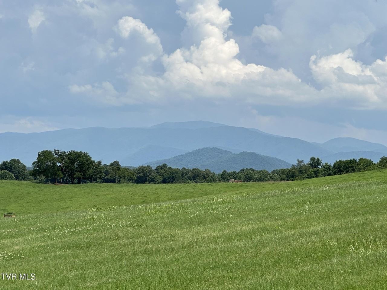 3655 W Allens Bridge Rd - Photo 3 of 42