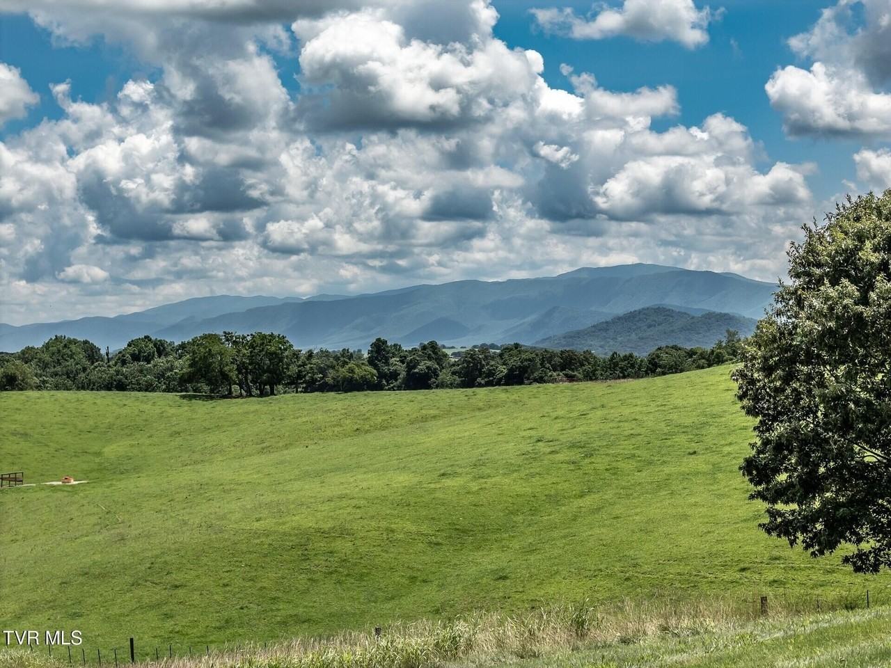 3655 W Allens Bridge Rd - Photo 6 of 42