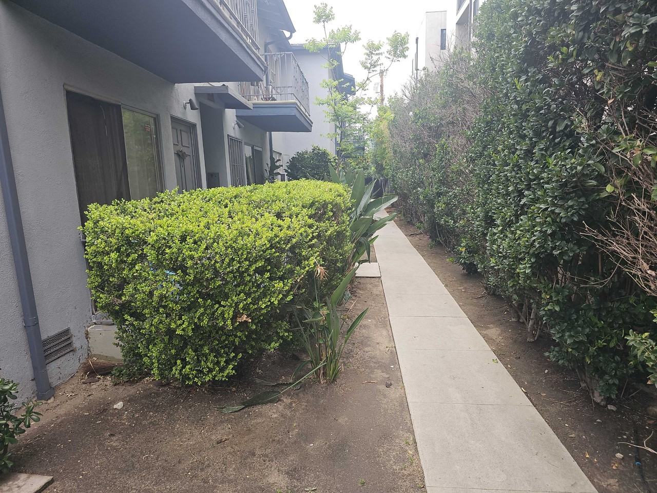 Laurel Canyon Blvd - Photo 5 of 45