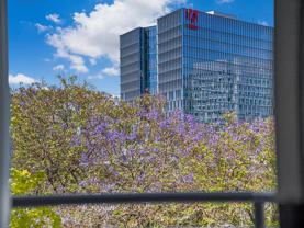 411 Park Ave #333 - Photo 1 of 1