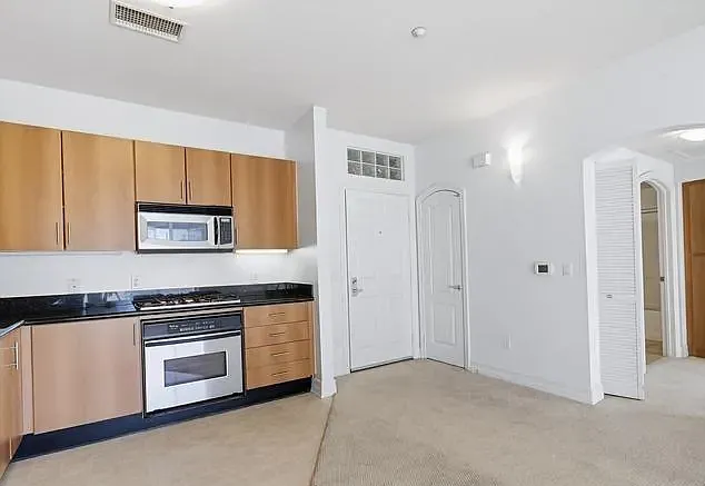 550 Park Blvd #2601 - Photo 5 of 29