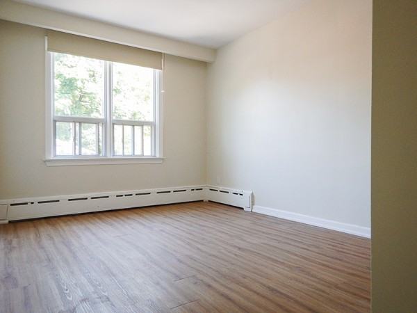 48 Dewson Street #2 - Photo 6 of 14