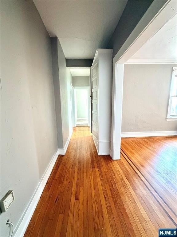 17 Elwood Pl - Photo 2 of 12