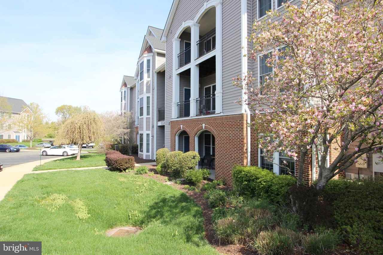 46598 Drysdale Ter Unit 303 - Photo 2 of 29