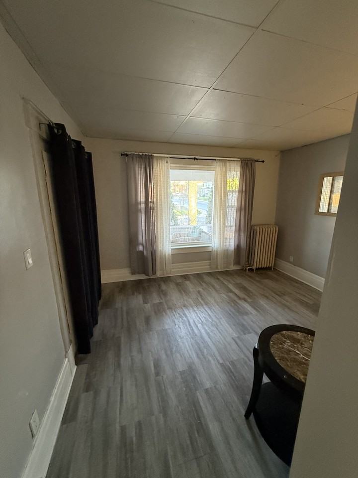 4853 Saint Lawrence Avenue #1 - Photo 4 of 8