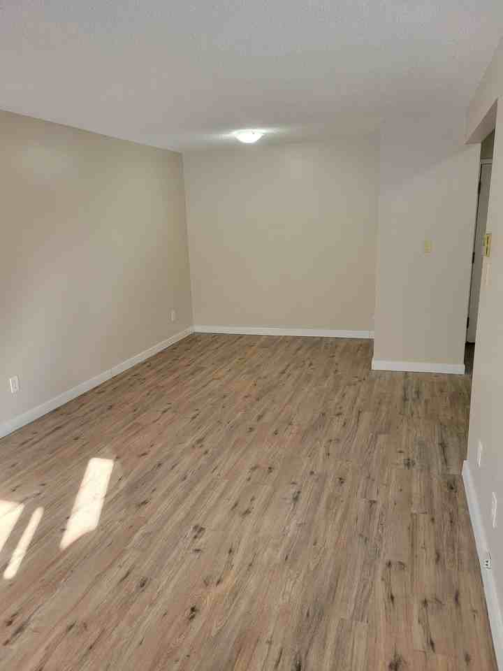 6 Cartier Court - Photo 4 of 8