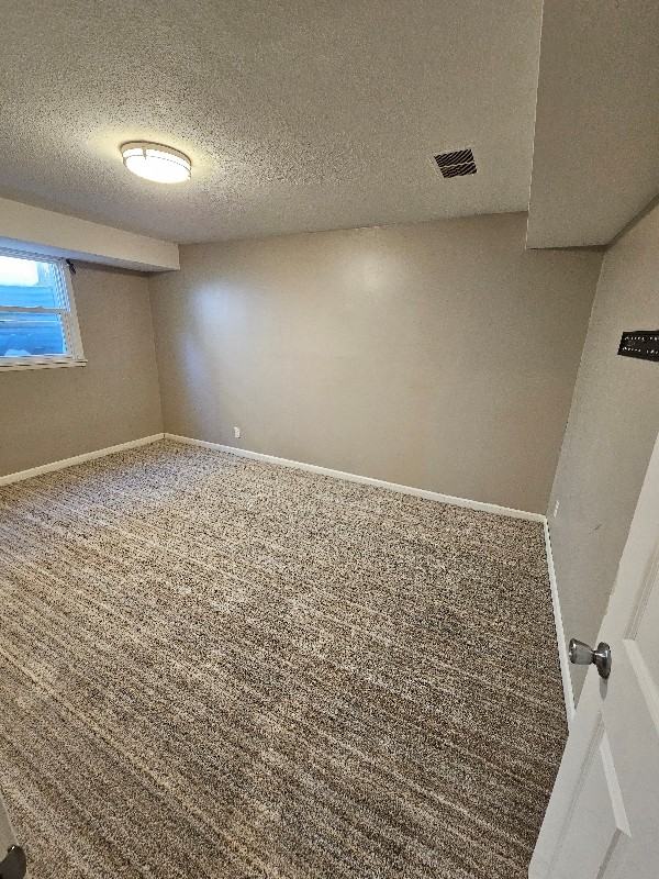 4314 3rd St Ne - Photo 3 of 11