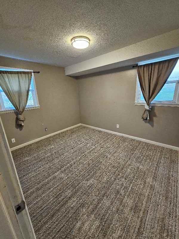 4314 3rd St Ne - Photo 4 of 11