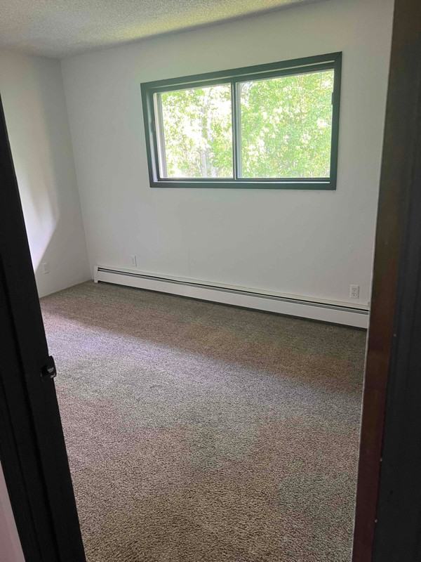 1101 N Recluse Cir #1 - Photo 4 of 4