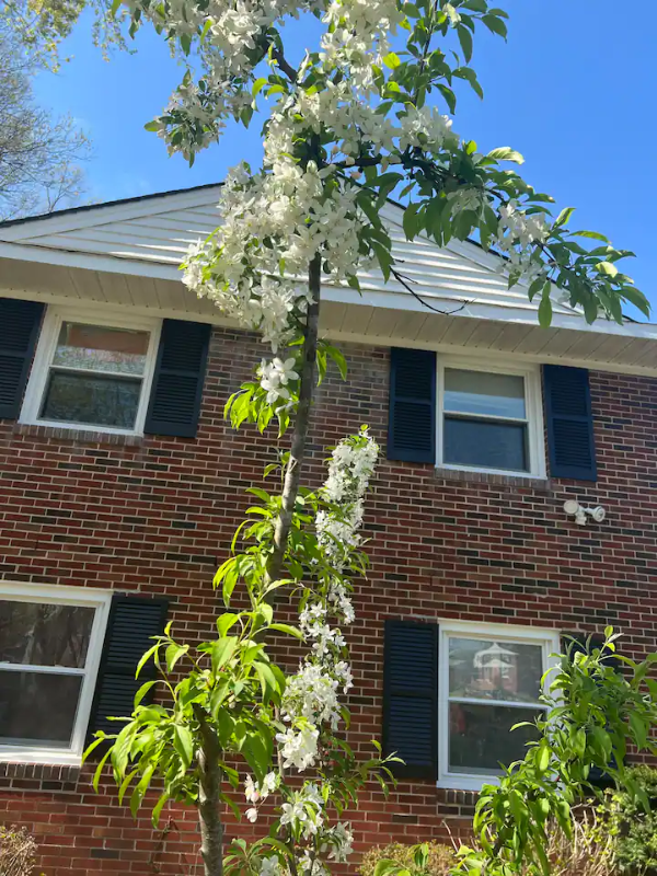 9312 Saint Andrews Pl #1 - Photo 3 of 16