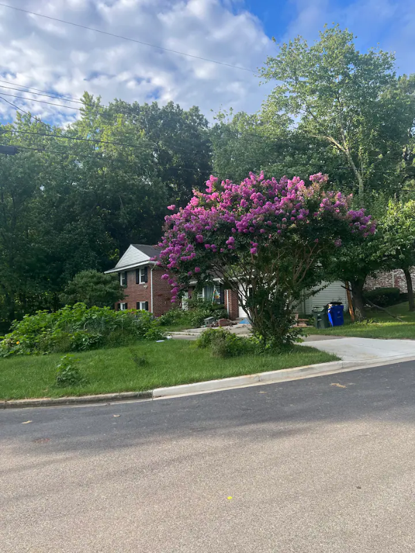 9312 Saint Andrews Pl #1 - Photo 4 of 16