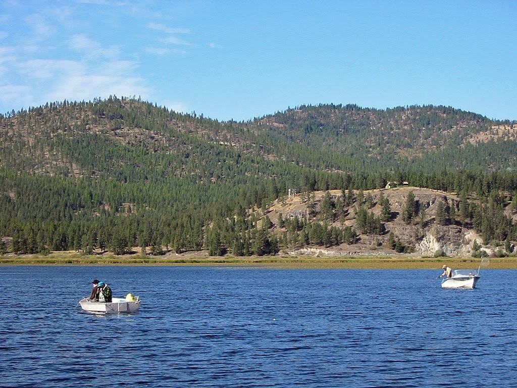 121 Wilderness Trl - Photo 2 of 6