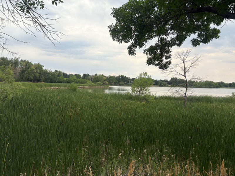 1769 S Lee St #B - Photo 7 of 7