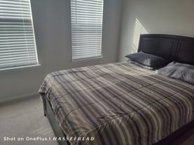 3418 Chester Aly #196 - Photo 1 of 1