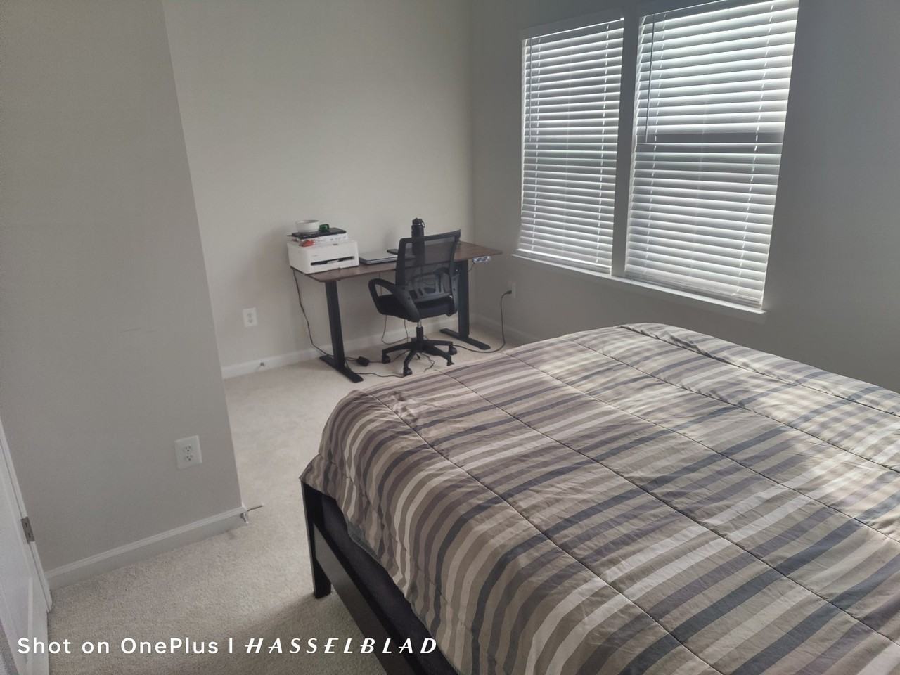 3418 Chester Aly #196 - Photo 2 of 7