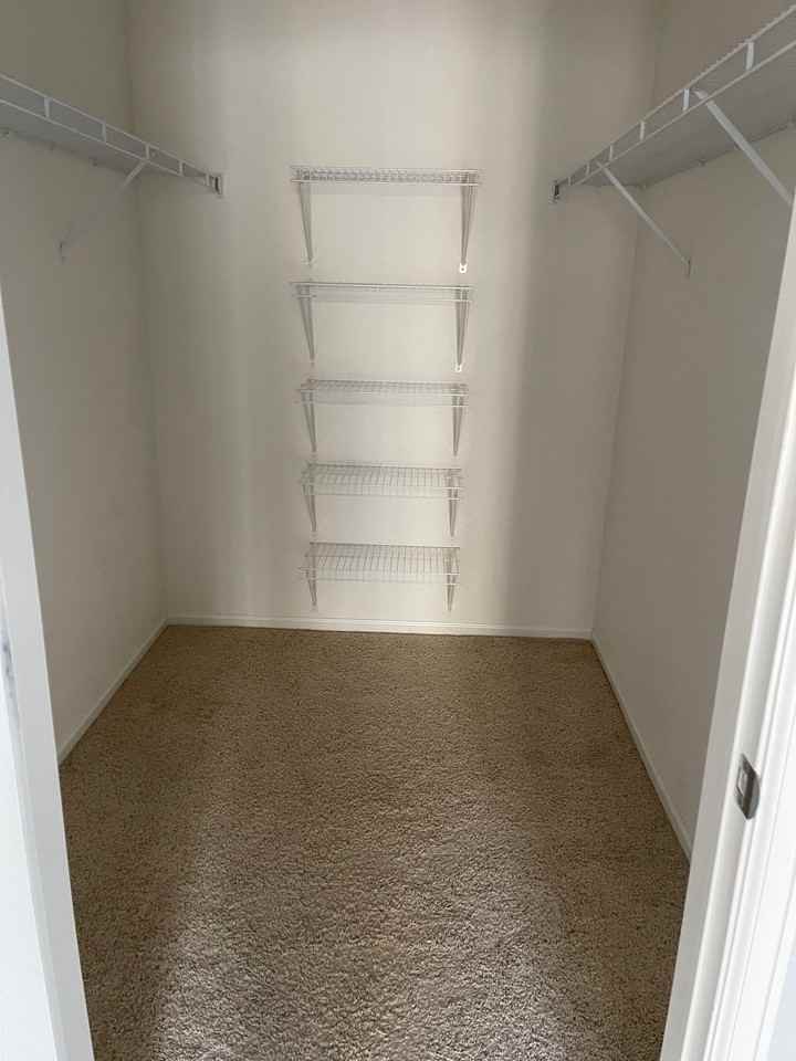 17346 Nature Walk Trl - Photo 6 of 15