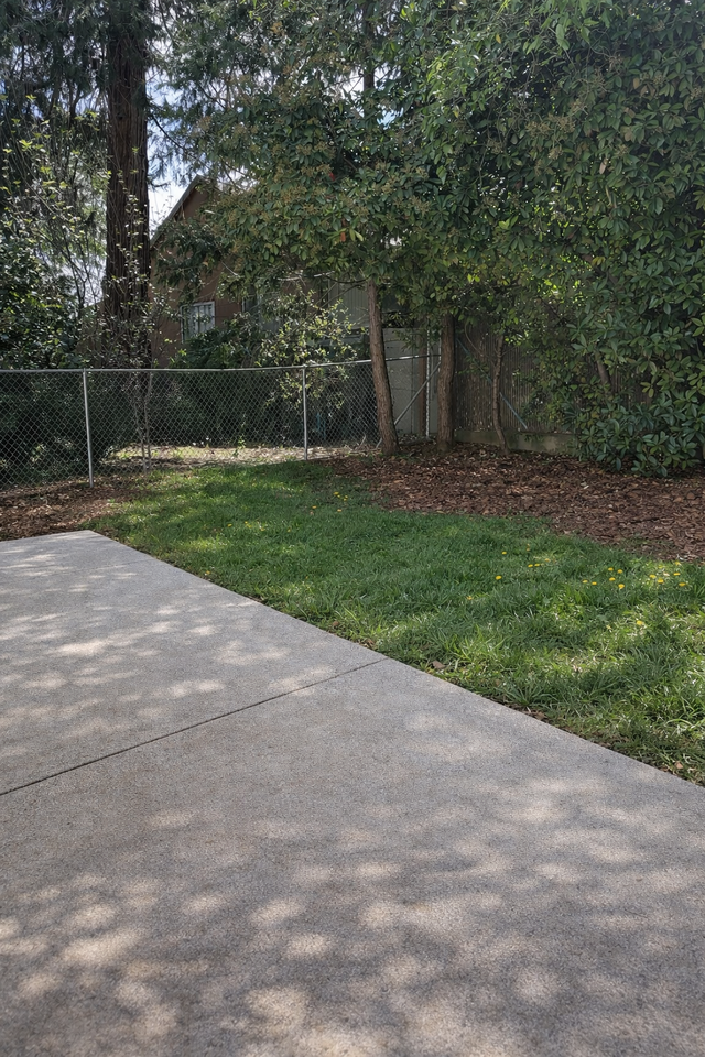 11752 Jones St #11752 - Photo 5 of 5