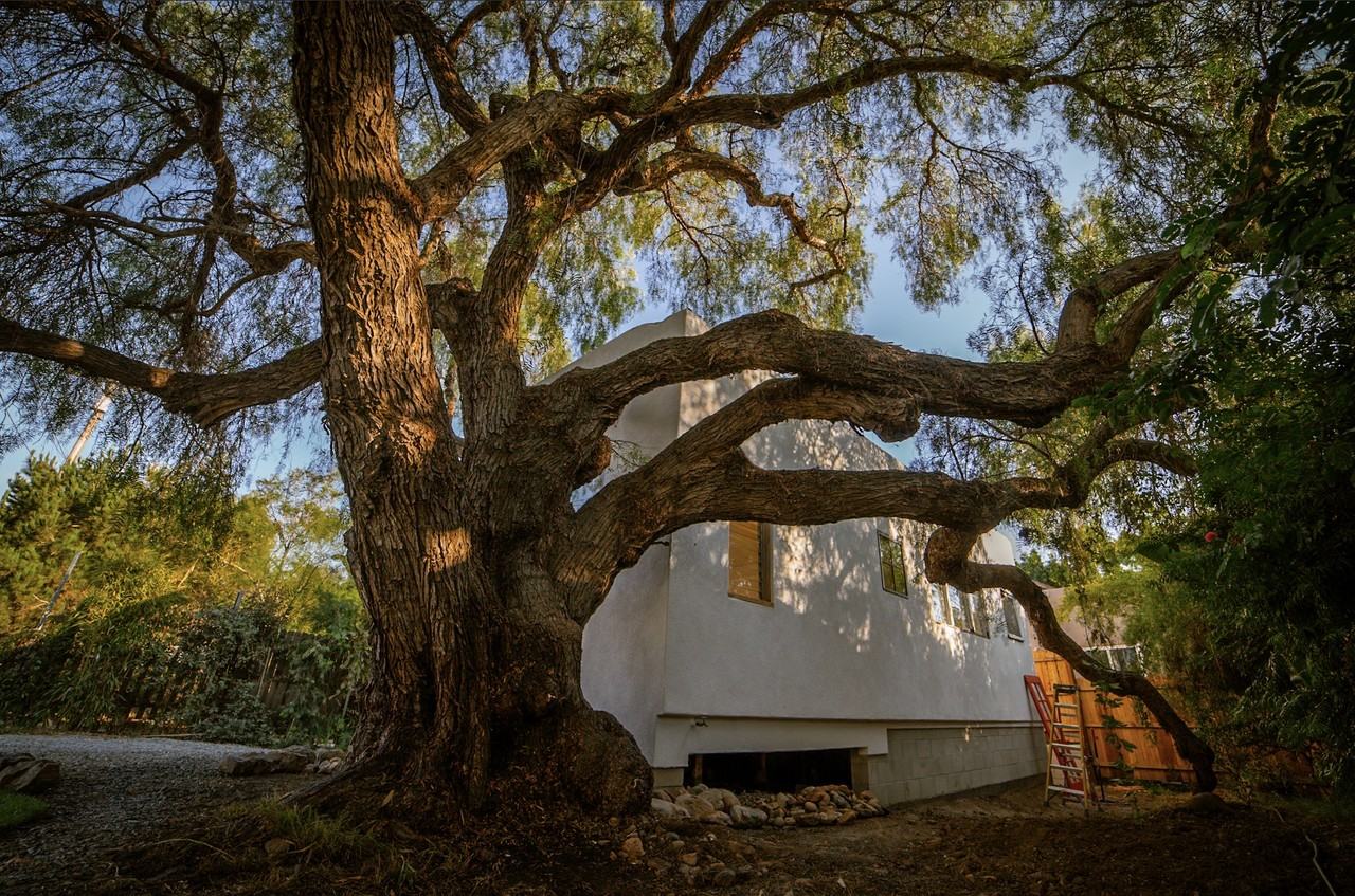 362 Palm Ave #NA - Photo 3 of 21