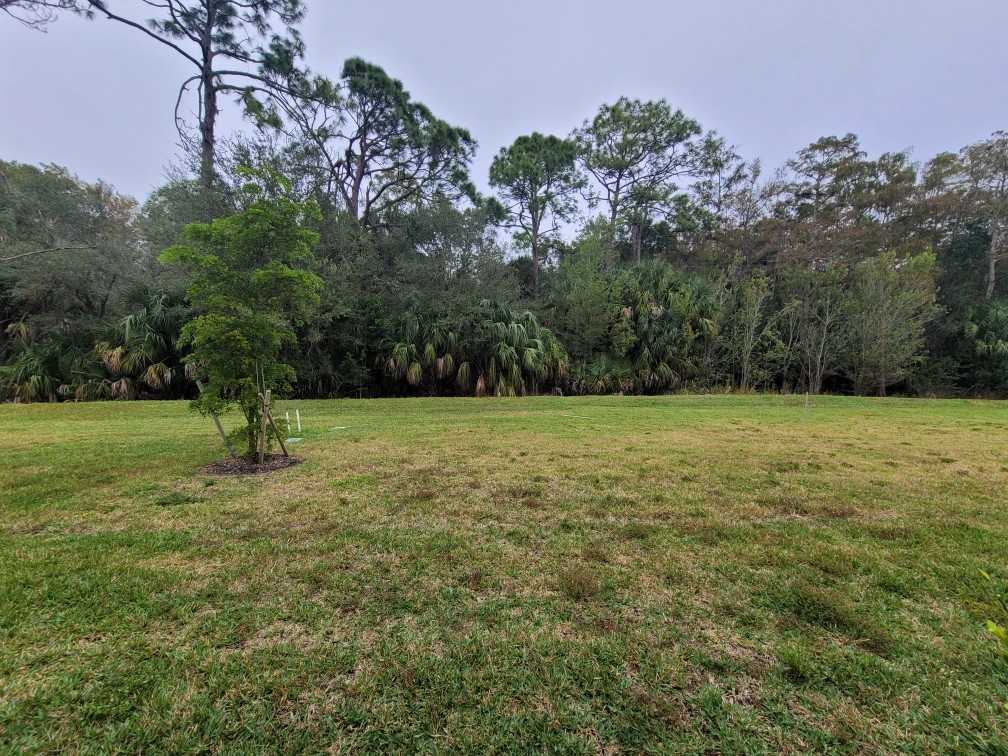 14213 Oviedo Pl #14213 - Photo 6 of 14