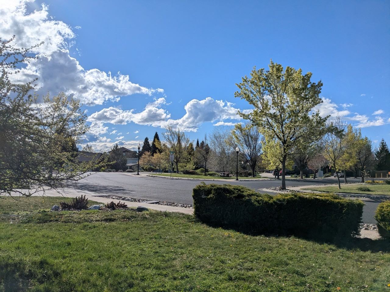 770 Hogue Dr #NA - Photo 5 of 6