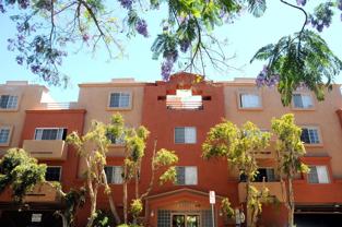 11020 Hesby Street #1 - Photo 1 of 1