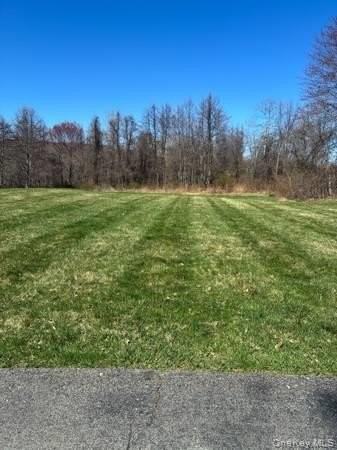 95 Lexington Dr - Photo 3 of 23