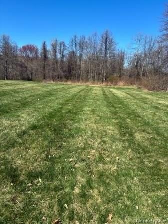 95 Lexington Dr - Photo 6 of 23