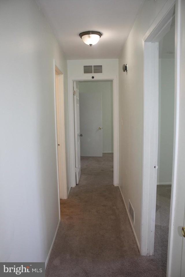 1308 Morris Ct - Photo 5 of 18