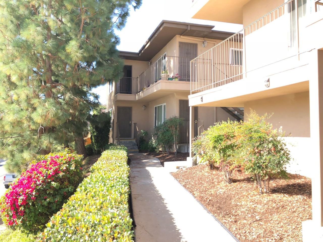 Lauretta 12 - Photo 6 of 42