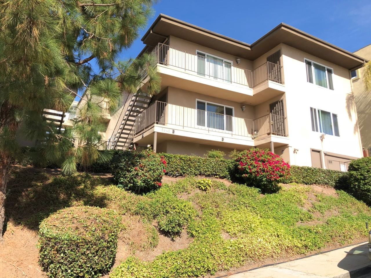 Lauretta 12 - Photo 7 of 42