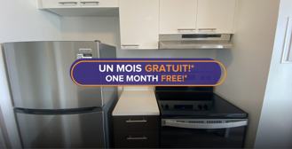 Trent & Kingsley - Photo 1 of 1