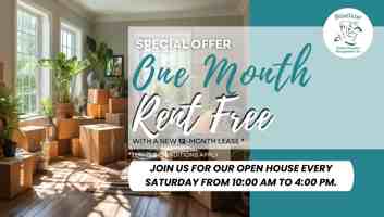 featured image of 53 Mcmurchy Ave N