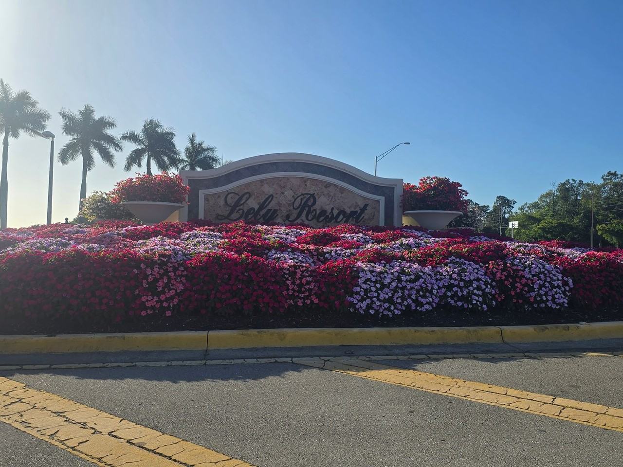 9175 Michael Cir #4 - Photo 6 of 35