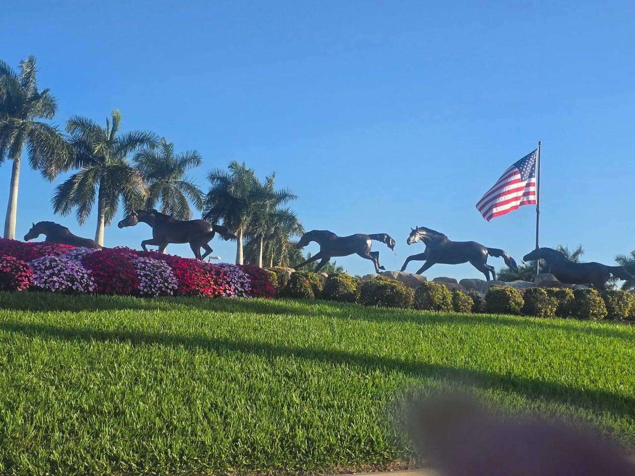 9175 Michael Cir #4 - Photo 7 of 35