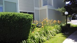 2577 Sycamore Glen Dr #2 - Photo 1 of 1