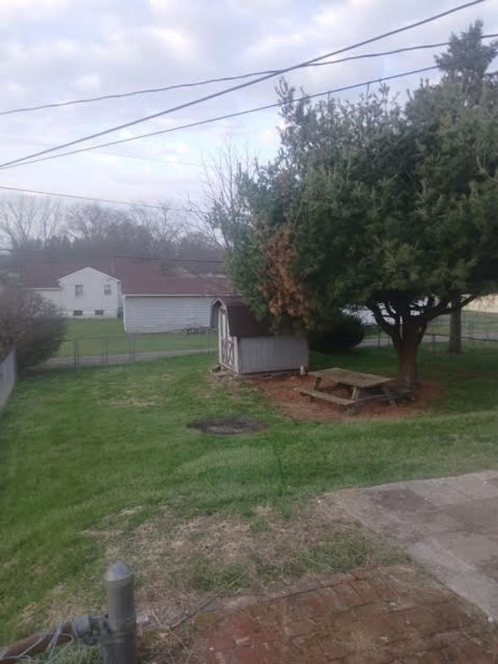 494 Allston Ave - Photo 2 of 19