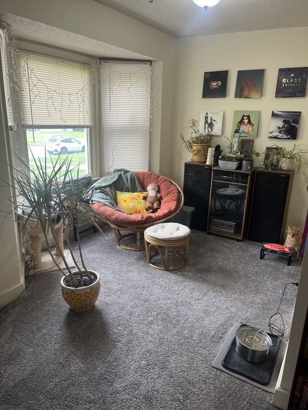 1342 New Jersey St - Photo 3 of 12