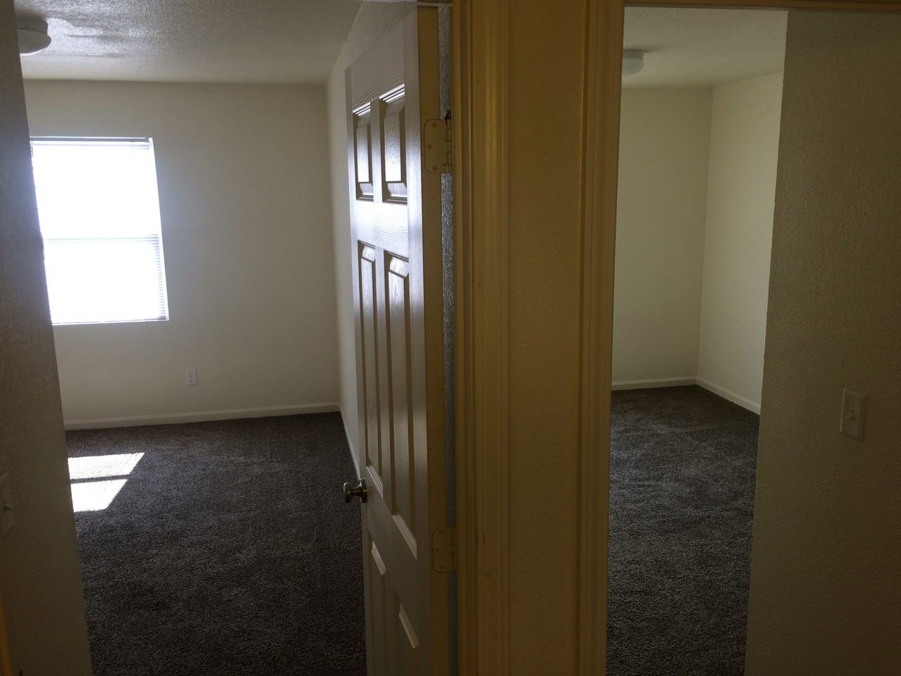 Bluejay Apartments - Photo 3 of 7