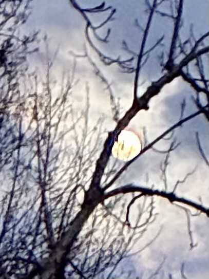 111 Sunrise Ln #NA - Photo 7 of 15