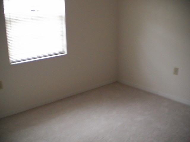 945 La Salle Ave - Photo 6 of 10