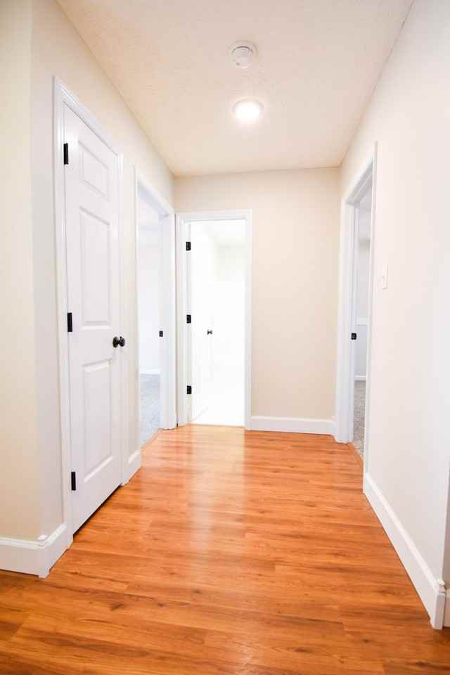 2812 Bolla Dr - Photo 5 of 33