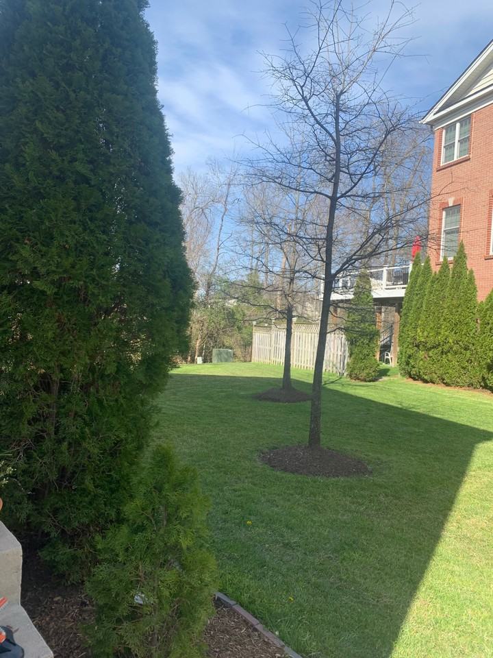 25583 America Sq #25583 - Photo 6 of 6