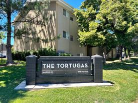 Tortugas Apartments - Photo 1 of 1