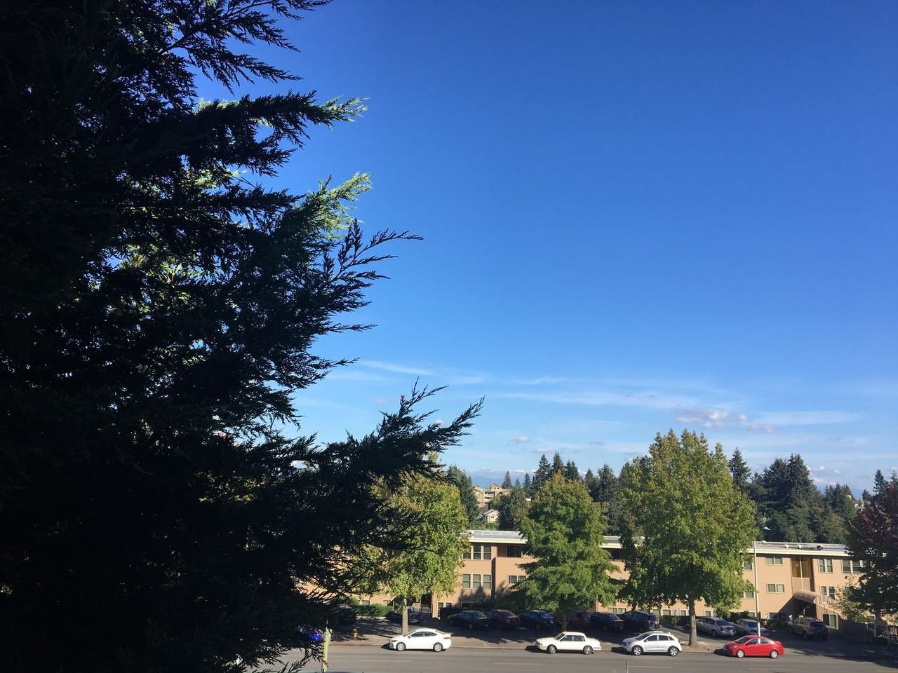 Roosevelt Square - Photo 5 of 31